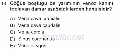 Temel Veteriner Anatomi 2012 - 2013 Tek Ders Sınavı 14.Soru