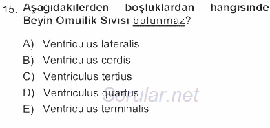 Temel Veteriner Anatomi 2012 - 2013 Tek Ders Sınavı 15.Soru