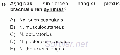 Temel Veteriner Anatomi 2012 - 2013 Tek Ders Sınavı 16.Soru