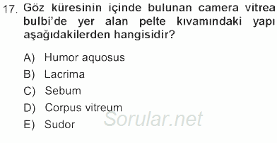 Temel Veteriner Anatomi 2012 - 2013 Tek Ders Sınavı 17.Soru