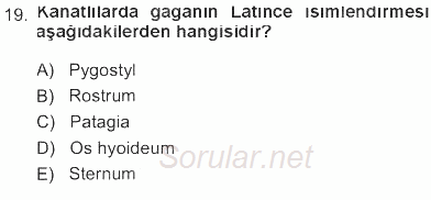 Temel Veteriner Anatomi 2012 - 2013 Tek Ders Sınavı 19.Soru