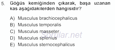 Temel Veteriner Anatomi 2012 - 2013 Tek Ders Sınavı 5.Soru