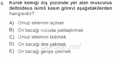 Temel Veteriner Anatomi 2012 - 2013 Tek Ders Sınavı 6.Soru