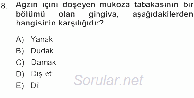 Temel Veteriner Anatomi 2012 - 2013 Tek Ders Sınavı 8.Soru
