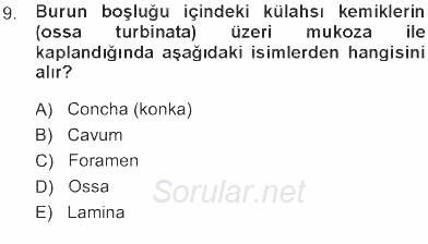 Temel Veteriner Anatomi 2012 - 2013 Tek Ders Sınavı 9.Soru