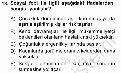 Aile Psikolojisi ve Eğitimi 2014 - 2015 Dönem Sonu Sınavı 13.Soru