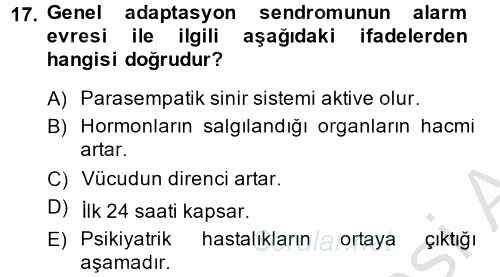 Aile Psikolojisi ve Eğitimi 2014 - 2015 Dönem Sonu Sınavı 17.Soru