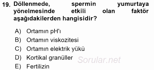 Genel Biyoloji 2 2015 - 2016 Ara Sınavı 19.Soru