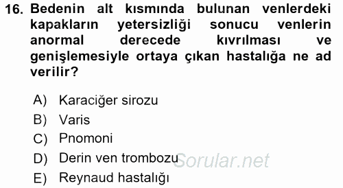 Temel Sağlık Hizmetleri 2016 - 2017 Dönem Sonu Sınavı 16.Soru