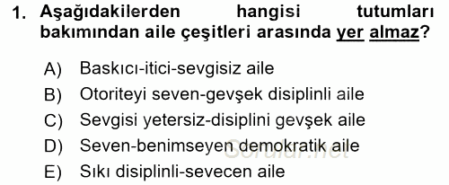 Sosyal Sorunlar 2016 - 2017 Dönem Sonu Sınavı 1.Soru