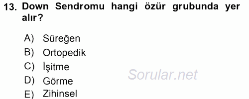 Sosyal Sorunlar 2016 - 2017 Dönem Sonu Sınavı 13.Soru