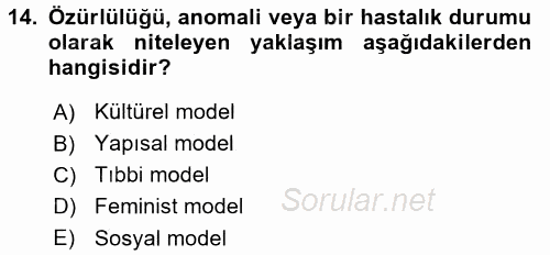 Sosyal Sorunlar 2016 - 2017 Dönem Sonu Sınavı 14.Soru