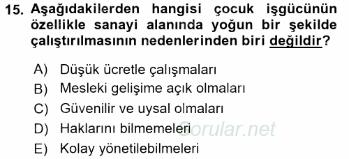 Sosyal Sorunlar 2016 - 2017 Dönem Sonu Sınavı 15.Soru