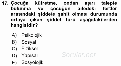 Sosyal Sorunlar 2016 - 2017 Dönem Sonu Sınavı 17.Soru