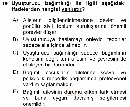 Sosyal Sorunlar 2016 - 2017 Dönem Sonu Sınavı 19.Soru