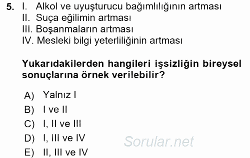 Sosyal Sorunlar 2016 - 2017 Dönem Sonu Sınavı 5.Soru