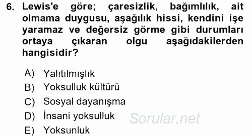 Sosyal Sorunlar 2016 - 2017 Dönem Sonu Sınavı 6.Soru