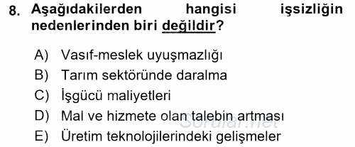 Sosyal Sorunlar 2016 - 2017 Dönem Sonu Sınavı 8.Soru