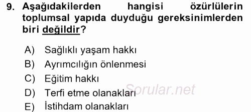 Sosyal Sorunlar 2016 - 2017 Dönem Sonu Sınavı 9.Soru