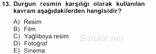 Görsel Kültür 2013 - 2014 Tek Ders Sınavı 13.Soru