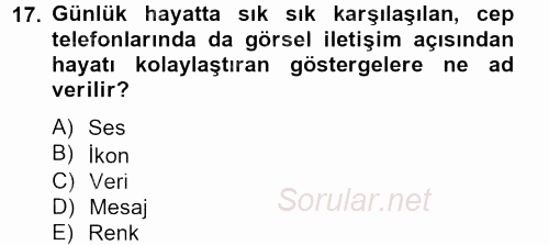 Görsel Kültür 2013 - 2014 Tek Ders Sınavı 17.Soru