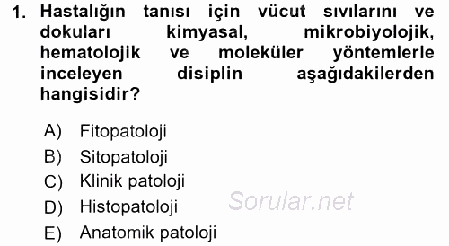 Temel Veteriner Patoloji 2016 - 2017 Dönem Sonu Sınavı 1.Soru