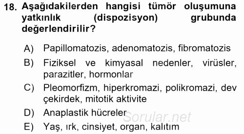 Temel Veteriner Patoloji 2016 - 2017 Dönem Sonu Sınavı 18.Soru