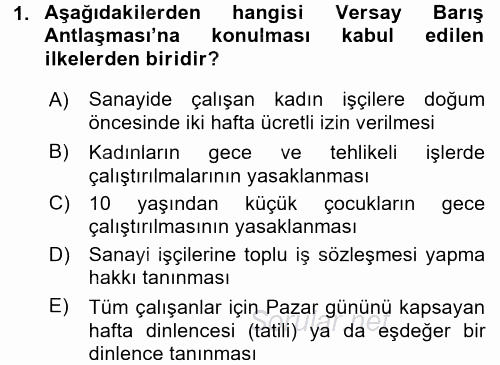 Uluslararası Sosyal Politika 2017 - 2018 Dönem Sonu Sınavı 1.Soru