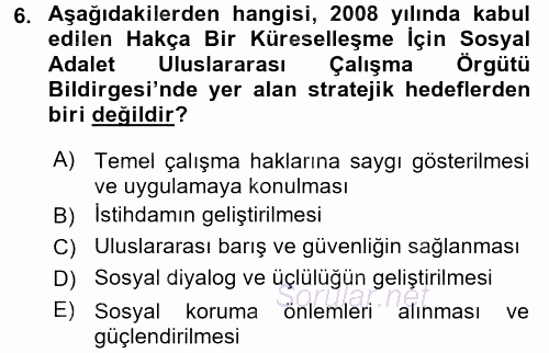 Uluslararası Sosyal Politika 2017 - 2018 Dönem Sonu Sınavı 6.Soru
