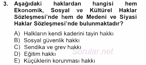 Temel İnsan Hakları Bilgisi 2 2012 - 2013 Ara Sınavı 3.Soru