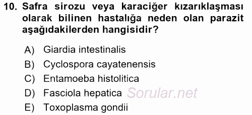 Gıda Güvenliğinin Temel Prensipleri 2016 - 2017 Dönem Sonu Sınavı 10.Soru