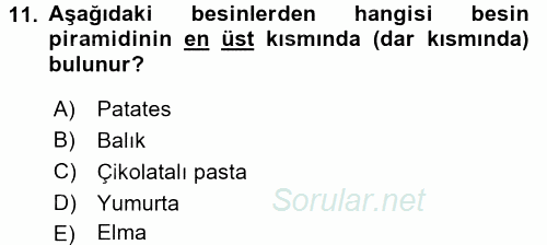 Sağlıklı Yaşam 2016 - 2017 3 Ders Sınavı 11.Soru