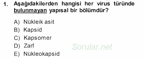 Viroloji 2013 - 2014 Dönem Sonu Sınavı 1.Soru