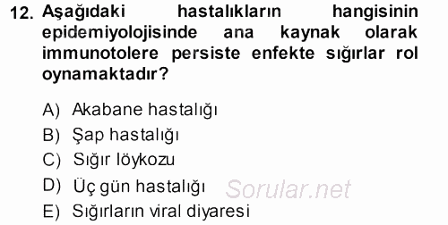 Viroloji 2013 - 2014 Dönem Sonu Sınavı 12.Soru