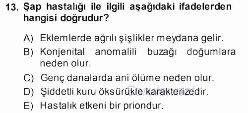 Viroloji 2013 - 2014 Dönem Sonu Sınavı 13.Soru