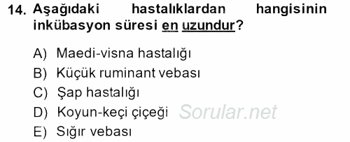 Viroloji 2013 - 2014 Dönem Sonu Sınavı 14.Soru