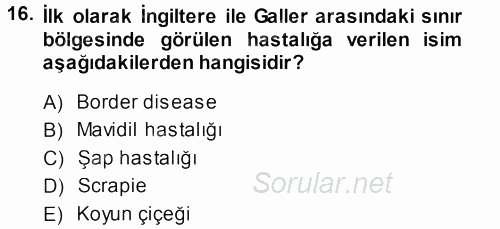 Viroloji 2013 - 2014 Dönem Sonu Sınavı 16.Soru