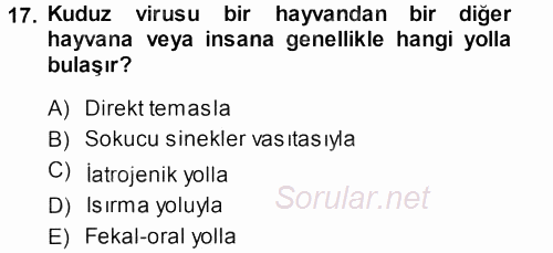 Viroloji 2013 - 2014 Dönem Sonu Sınavı 17.Soru