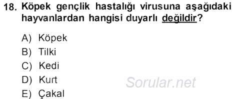 Viroloji 2013 - 2014 Dönem Sonu Sınavı 18.Soru
