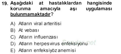 Viroloji 2013 - 2014 Dönem Sonu Sınavı 19.Soru