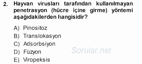 Viroloji 2013 - 2014 Dönem Sonu Sınavı 2.Soru