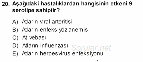 Viroloji 2013 - 2014 Dönem Sonu Sınavı 20.Soru