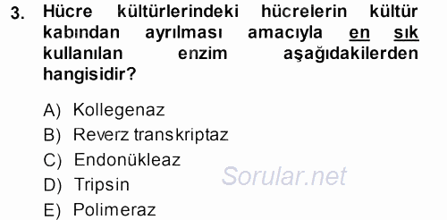 Viroloji 2013 - 2014 Dönem Sonu Sınavı 3.Soru