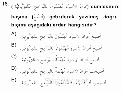 Arapça 2 2012 - 2013 Dönem Sonu Sınavı 18.Soru