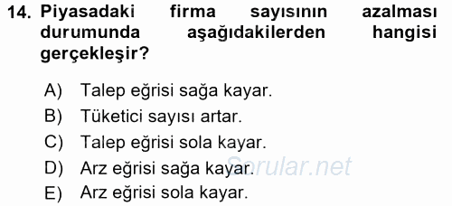 İktisada Giriş 1 2017 - 2018 Ara Sınavı 14.Soru