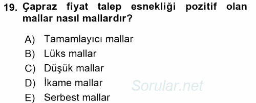 İktisada Giriş 1 2017 - 2018 Ara Sınavı 19.Soru