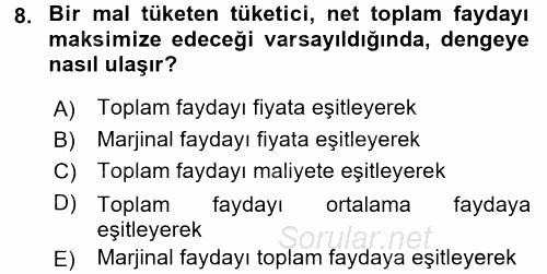 İktisada Giriş 1 2017 - 2018 Ara Sınavı 8.Soru