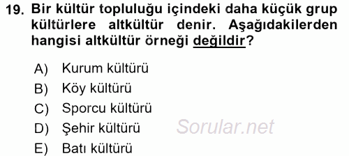 Kültürlerarası İletişim 2017 - 2018 3 Ders Sınavı 19.Soru