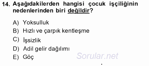 Sosyal Politika 2 2014 - 2015 Ara Sınavı 14.Soru