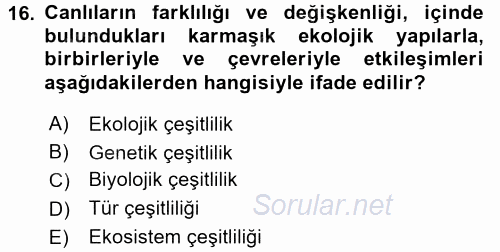 Enerji ve Çevre 2015 - 2016 Dönem Sonu Sınavı 16.Soru